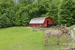 570 Rugged Top Rd, Waynesville, NC 28785 - Photo 32