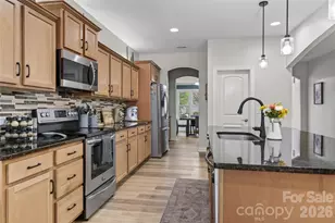 15109 Ockeechobee Ct, Charlotte, NC 28227 - Photo 6