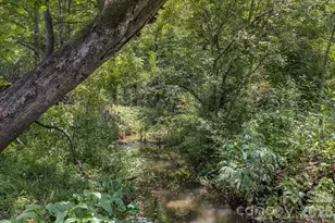 287 Robertson Dr, Old Fort, NC 28762 - Photo 46