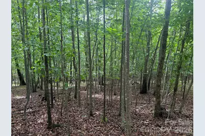 V/L Scenic Vista Drive #246, Nebo, NC 28761 - Photo 6