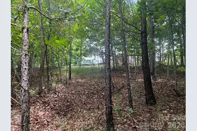 V/L Scenic Vista Drive #246, Nebo, NC 28761 - Photo 10