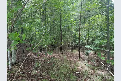 V/L Scenic Vista Drive #246, Nebo, NC 28761 - Photo 12