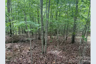 V/L Scenic Vista Drive #246, Nebo, NC 28761 - Photo 4