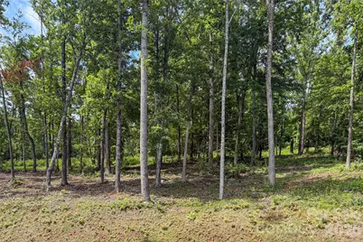 00000 Bear View Road, Weaverville, NC 28787 - Photo 4