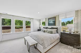 7567 Ethora Wy, Charlotte, NC 28216 - Photo 28