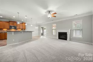 523 Danson Dr, Fort Mill, SC 29715 - Photo 14