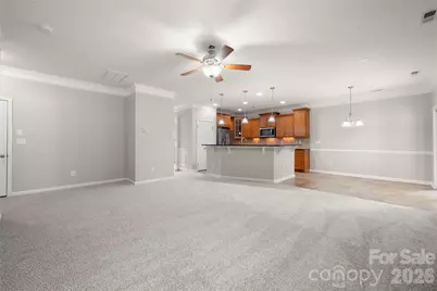 523 Danson Drive, Fort Mill, SC 29715 - Photo 16