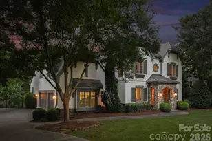 746 Bannerman Ln, Fort Mill, SC 29715 - Photo 4