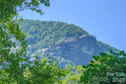 413 Terrace Drive, Chimney Rock Village, NC 28720 - Photo 6