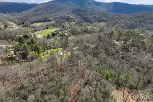 46 S Kimiko Ln, Balsam Grove, NC 28708 - Photo 18