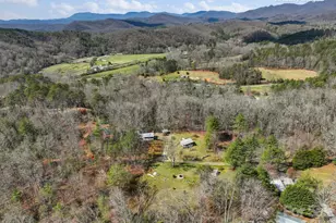 54 S Kimiko Ln, Balsam Grove, NC 28708 - Photo 20