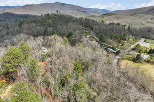 54 S Kimiko Ln, Balsam Grove, NC 28708 - Photo 30