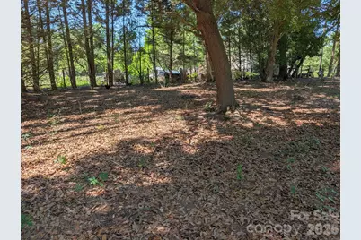 4053 Roddey Road, Catawba, SC 29704 - Photo 42