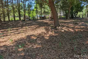4053 Roddey Rd, Catawba, SC 29704 - Photo 42