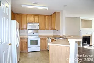 8727 Wandering Creek Way, Charlotte, NC 28227 - Photo 4