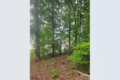Lot 105 Edgewater Drive #105, Norwood, NC 28128 - Photo 2