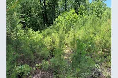 206 Corry Lane, Bostic, NC 28018 - Photo 10