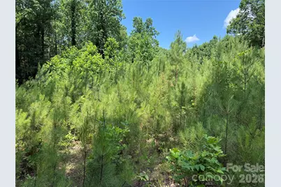 206 Corry Lane, Bostic, NC 28018 - Photo 12