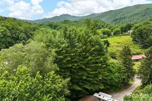 277 Orion Davis Rd, Waynesville, NC 28786 - Photo 2