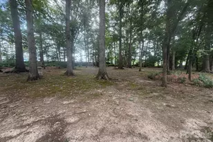 975 Jay Burke Rd, Taylorsville, NC 28681 - Photo 2