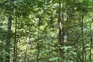 Tba Ricks Rd, Sharon, SC 29742 - Photo 1