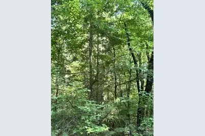 Tba Ricks Road, Sharon, SC 29742 - Photo 2