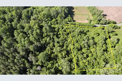 468 Mackey Freeman Road, Rutherfordton, NC 28139 - Photo 20