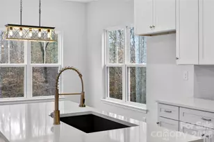 229 Shenandoah Loop, Troutman, NC 28166 - Photo 8