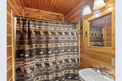 439 Upper Pig Pen Road, Green Mountain, NC 28740 - Photo 22