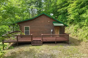 439 Upper Pig Pen Rd, Green Mountain, NC 28740 - Photo 28