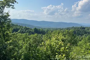 253 Falls Creek Dr, Nebo, NC 28761 - Photo 1