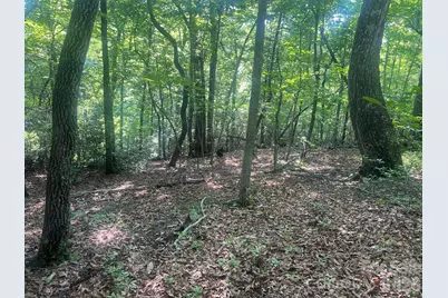 253 Falls Creek Drive, Nebo, NC 28761 - Photo 14