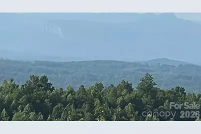253 Falls Creek Drive, Nebo, NC 28761 - Photo 2