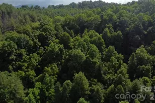 1327 Nc 80 Hwy, Bakersville, NC 28705 - Photo 32
