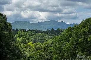 1327 Nc 80 Hwy, Bakersville, NC 28705 - Photo 2