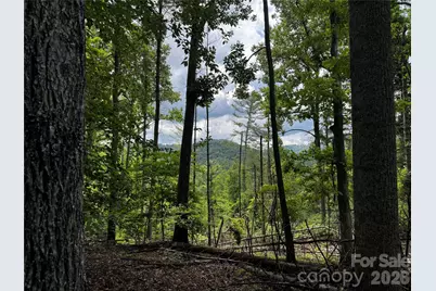 1327 Nc 80 Highway, Bakersville, NC 28705 - Photo 34