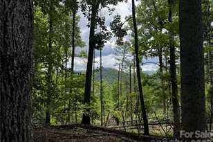 1327 Nc 80 Hwy, Bakersville, NC 28705 - Photo 34