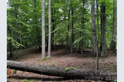 1327 Nc 80 Highway, Bakersville, NC 28705 - Photo 36