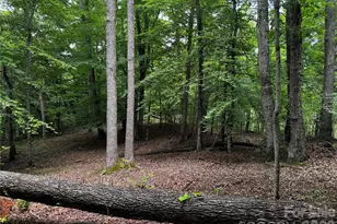 1327 Nc 80 Hwy, Bakersville, NC 28705 - Photo 36