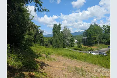 119 Randolph Avenue, Black Mountain, NC 28711 - Photo 2