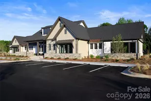 1007 Fen Ln, Waxhaw, NC 28173 - Photo 2