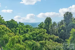 647 Town Mountain Rd, Asheville, NC 28804 - Photo 8