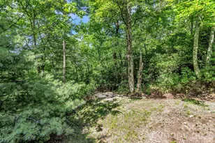571 Tsisqua Cir, Brevard, NC 28712 - Photo 42