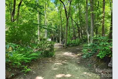51 Bird Creek Estates Road, Black Mountain, NC 28711 - Photo 22