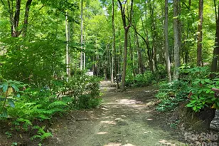 51 Bird Creek Estates Rd, Black Mountain, NC 28711 - Photo 22
