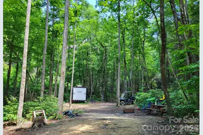51 Bird Creek Estates Road, Black Mountain, NC 28711 - Photo 16