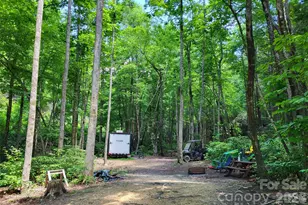 51 Bird Creek Estates Rd, Black Mountain, NC 28711 - Photo 16