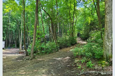 51 Bird Creek Estates Road, Black Mountain, NC 28711 - Photo 20
