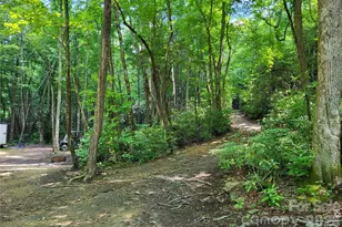 51 Bird Creek Estates Rd, Black Mountain, NC 28711 - Photo 20