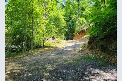 51 Bird Creek Estates Road, Black Mountain, NC 28711 - Photo 18